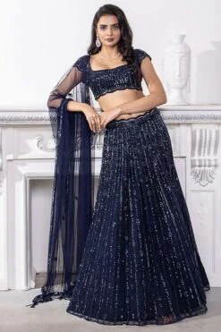 Naibah Navy Blue Hand Embellished Lehenga Set