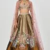 Aisha Rao Gold Floral Embellished Lehenga Set
