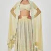 Aisha Rao Yellow Embellished Lehenga Set
