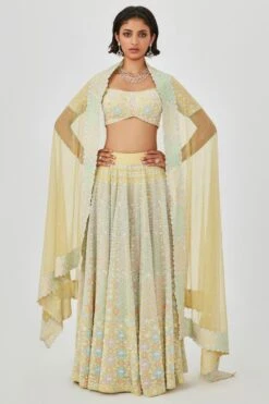 Aisha Rao Yellow Embellished Lehenga Set