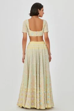 Aisha Rao Yellow Embellished Lehenga Set -Outlet Spiffy Fits Store 11723ar15 6