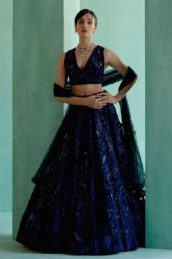 Mishru Alma Embellished Lehenga Set