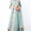 Payal Singhal Pale Blue Embellished Lehenga Set