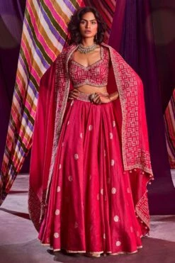 Punit Balana Pink Zardosi Embroidered Lehenga Set