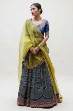 Naina Jain Blue Zardosi Embellished Lehenga Set