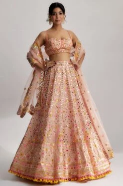 Gopi Vaid Delnaz Lehenga Set