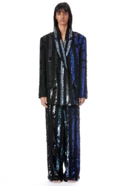 Kanika Goyal Label Linear Ombre Hand Embellished Pants