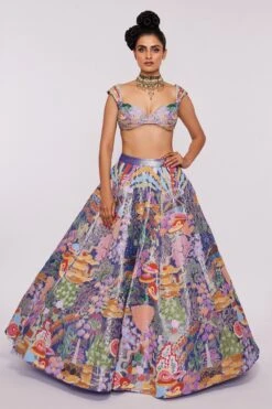 Aisha Rao Blue Tissue Applique Lehenga Set