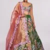 Aisha Rao Green Tissue Appliqued & Embellished Lehenga Set