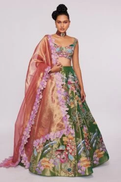 Aisha Rao Green Tissue Appliqued & Embellished Lehenga Set