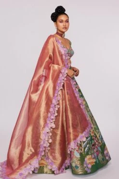 Aisha Rao Green Tissue Appliqued & Embellished Lehenga Set -Outlet Spiffy Fits Store 64ar3 3