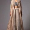 Amit Aggarwal Striped Lehenga Set With A Metallic Silver Blouse