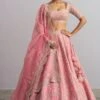 Anushree Reddy Flamingo Pink Embroidered Lehenga Set