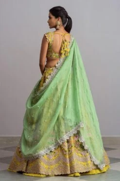 Anushree Reddy Yellow Embellished Lehenga Set -Outlet Spiffy Fits Store ar019 7