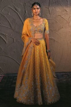 Anushree Reddy Mustard Yellow Raw Silk Lehenga Set