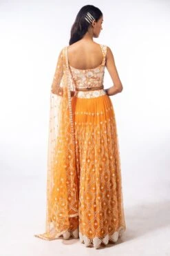 Mishru Jaal Work Orange Lehenga Set -Outlet Spiffy Fits Store mpf 029 ls 4 1