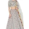 Payal Singhal Pale Blue Lehenga Set With Embroidered Choli