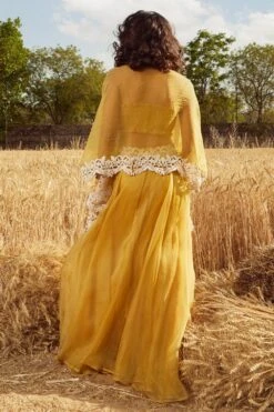Ridhima Bhasin Mustard Embroidered Lehenga Set -Outlet Spiffy Fits Store rbss21 16 3