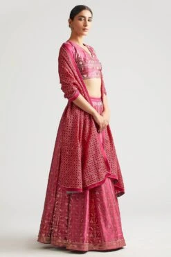 Kshitij Jalori Kali Lehenga Set With Embroidered Shawl